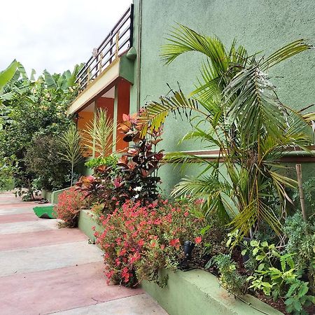 Banana Farm House ハンピ エクステリア 写真