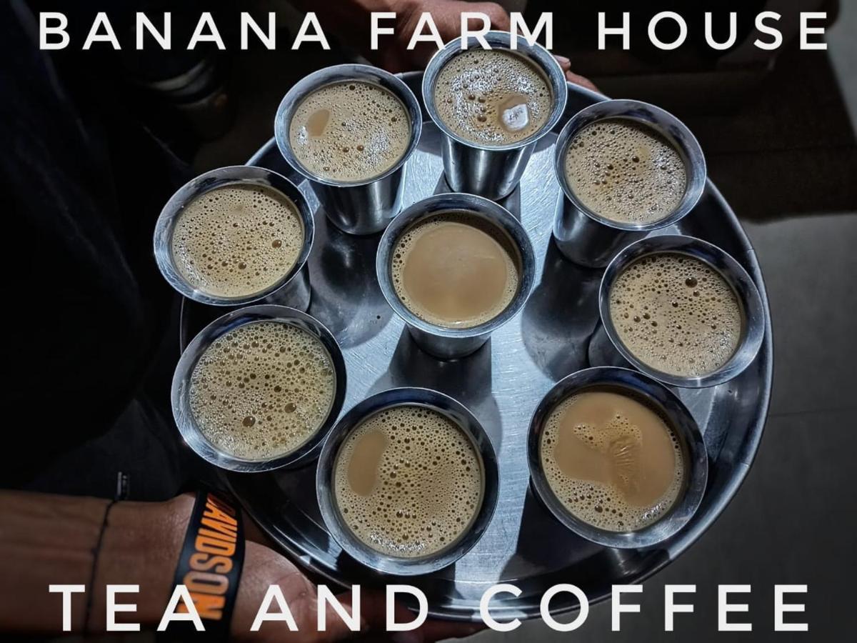 Banana Farm House ハンピ エクステリア 写真