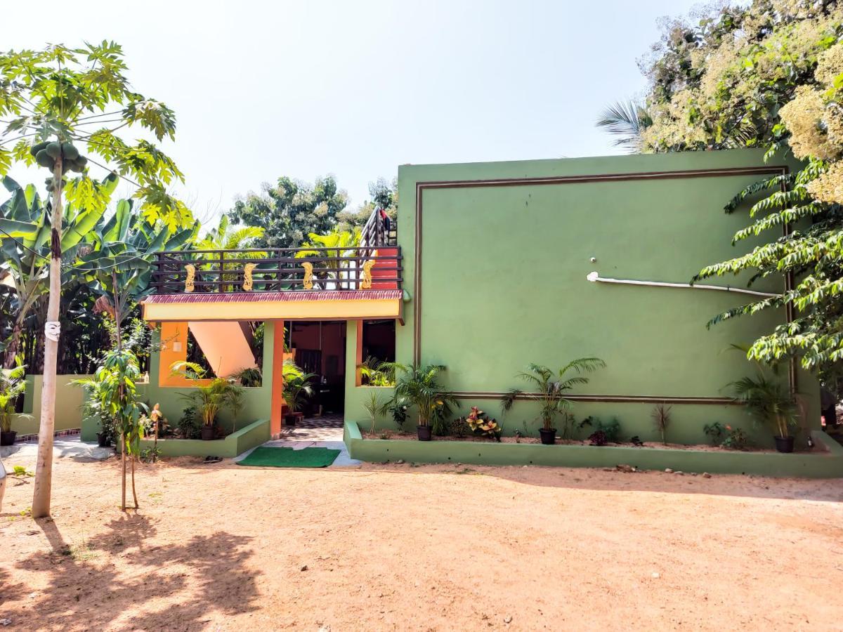 Banana Farm House ハンピ エクステリア 写真