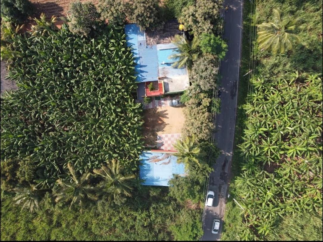 Banana Farm House ハンピ エクステリア 写真