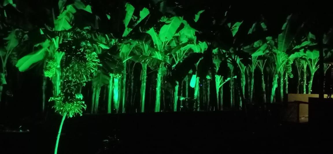 Banana Farm House ハンピ エクステリア 写真