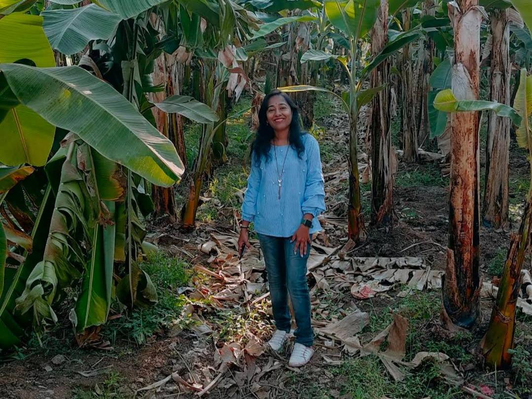 Banana Farm House ハンピ エクステリア 写真